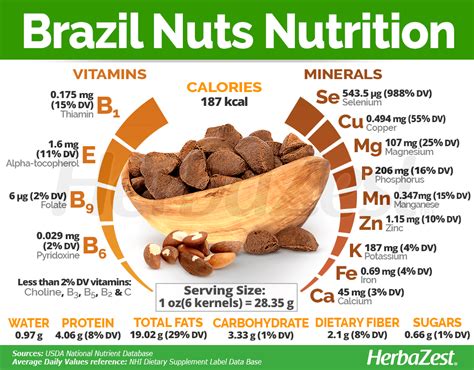  Brazillian Nuts - Właściwości, Zastosowanie i Produkcja w Przemyśle Spożywczym!